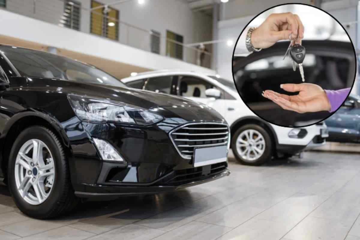 Questo successo sottolinea non solo la crescita esponenziale del marchio, ma anche la sua crescente popolarità tra i consumatori italiani